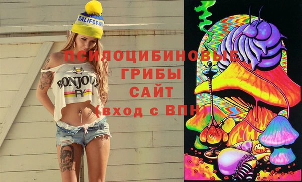 метадон Армянск