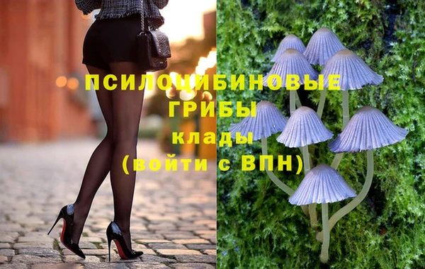 бутират Баксан