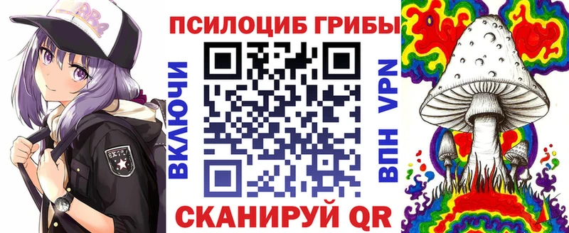 Галлюциногенные грибы Psilocybine cubensis Североуральск